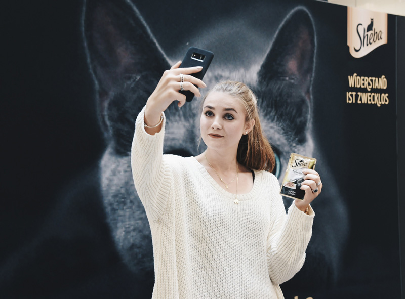 Sheba Virtual Reality Event Aachen Augen für Sheba